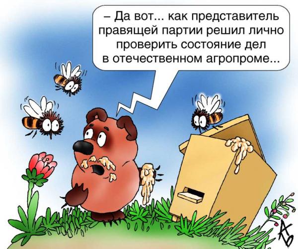 Партия «жуликов и воров» выдвинула уголовника Карих на мэра Тулуна
