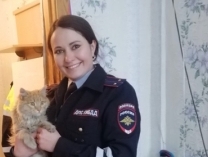 В Тулуне сотрудники Госавтоинспекции спасли кота, два дня просидевшего в мороз на дереве