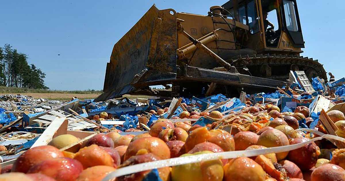 В России могут запретить уничтожать конфискованные продукты питания
