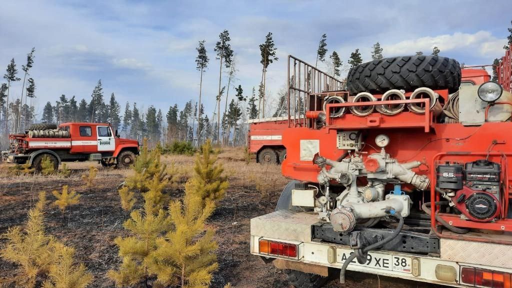 За минувшие сутки в лесном фонде в Иркутской области ликвидировано 13 пожаров