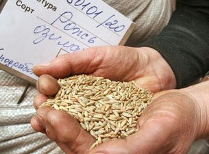 Более 2,7 млрд рублей господдержки получили сельхозпроизводители Приангарья